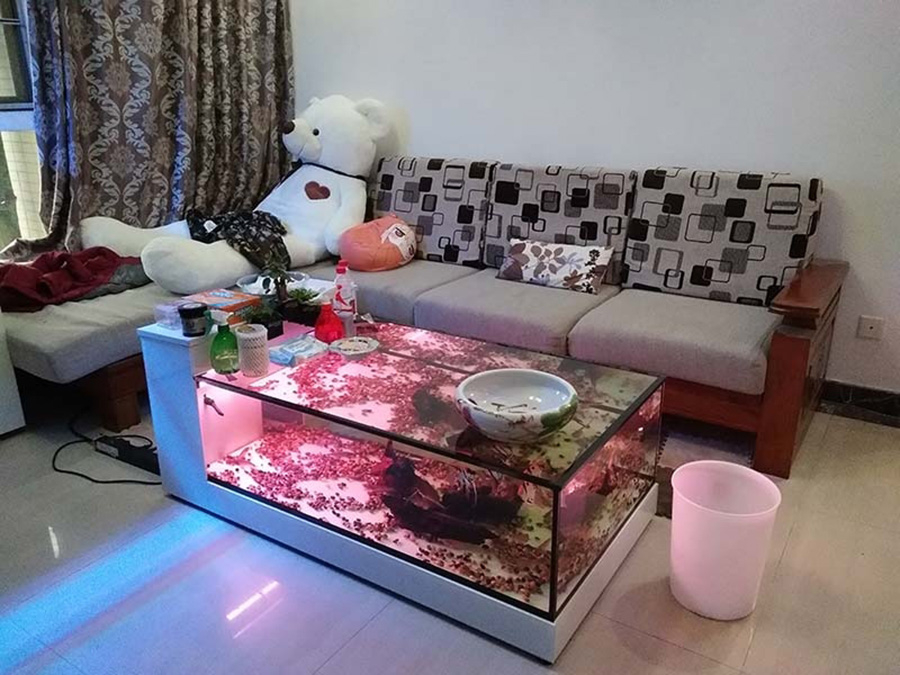 客廳茶幾魚缸定制項目