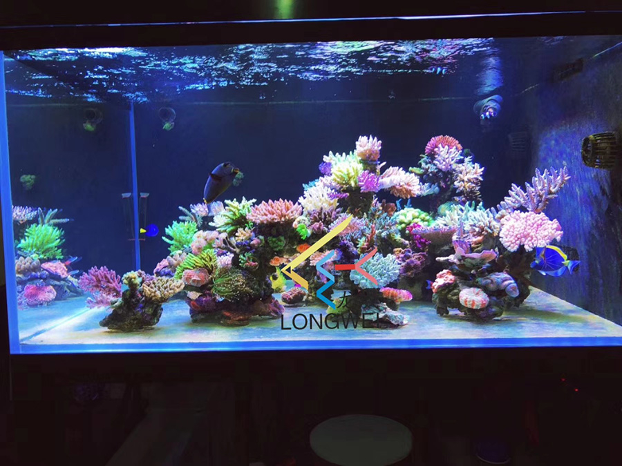 客廳海水缸定制項(xiàng)目