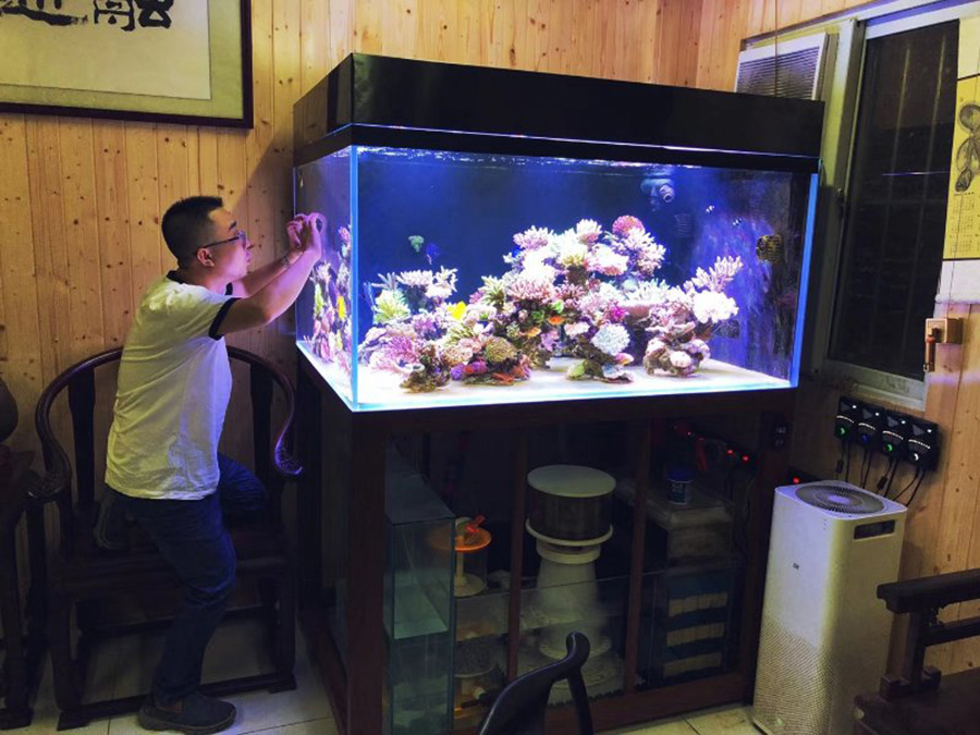 客廳海水缸定制項(xiàng)目