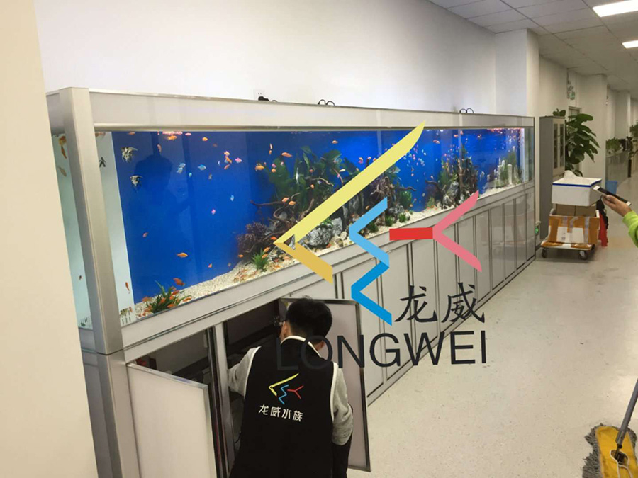 公司大型魚缸定制項(xiàng)目