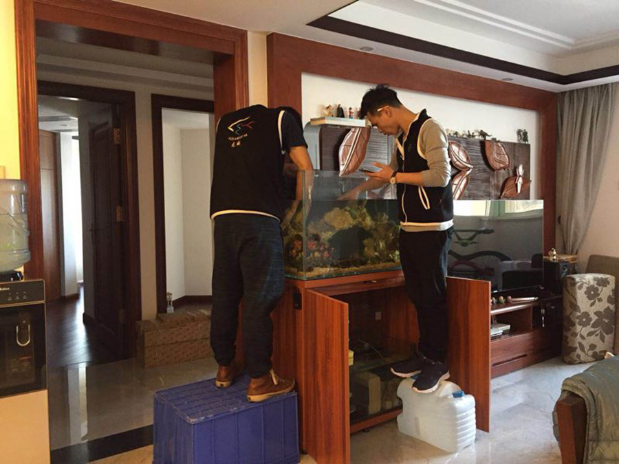 淡水海水缸定制項(xiàng)目