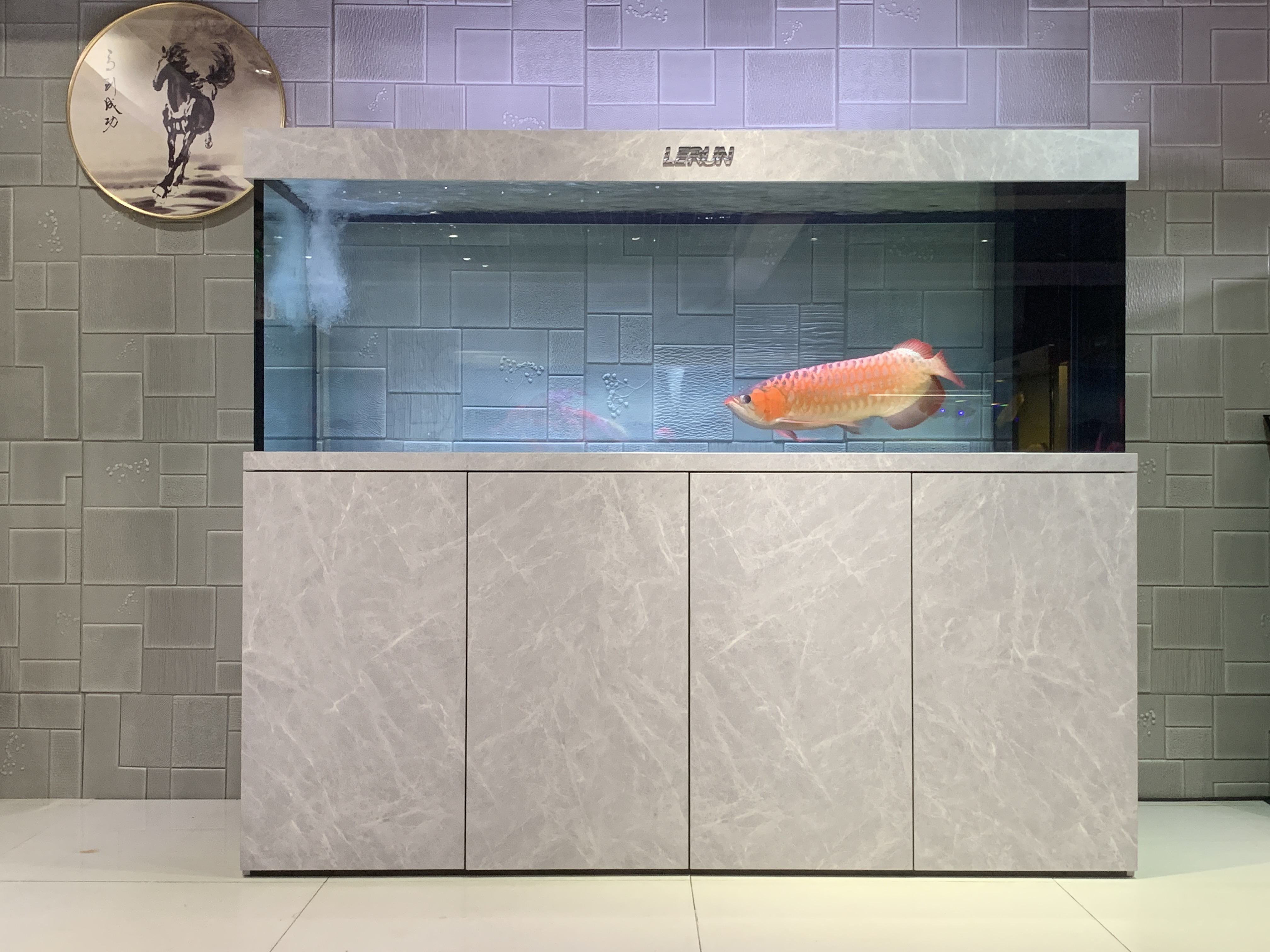 家里客廳魚缸定制案例——龍威水族