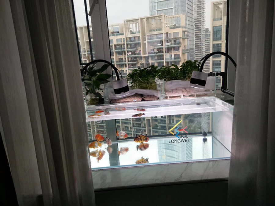 陽臺(tái)定制小型金魚缸——龍威水族