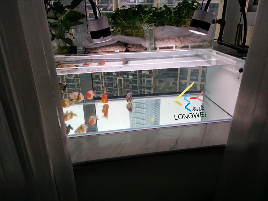 陽臺(tái)定制小型金魚缸——龍威水族