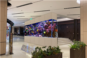 大型商業(yè) 景觀設(shè)計