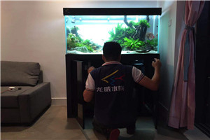 自然景觀 回歸自然 水生植物景觀 水草景觀