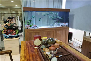 自然景觀 回歸自然 水生植物景觀 水草景觀