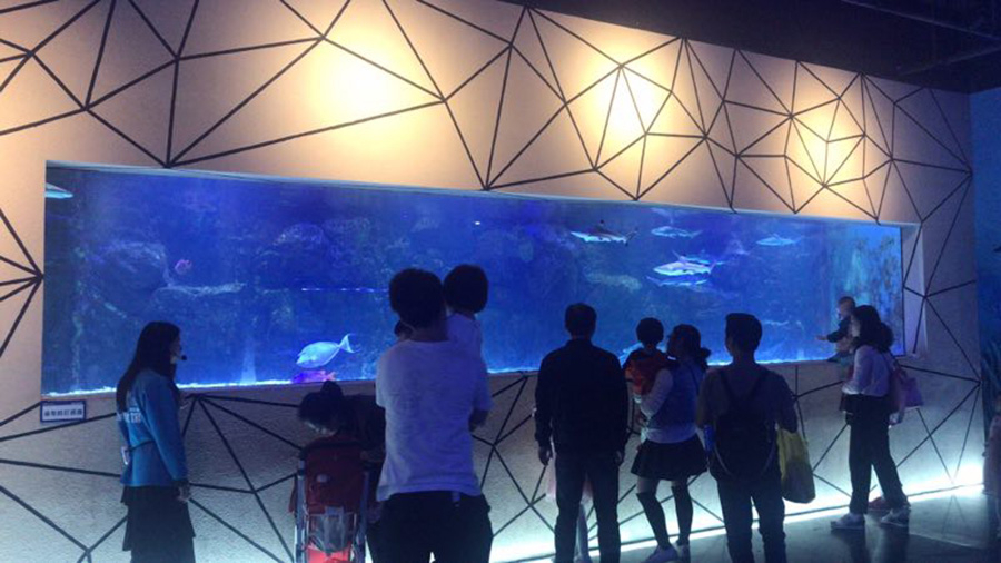 海洋館建設 竣工 營業 廣東汕頭蓮花峰海洋文化館