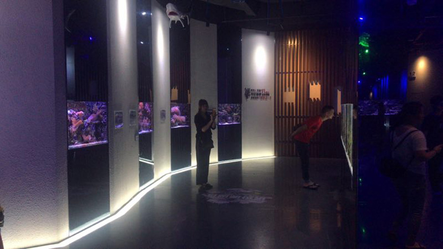 海洋館建設 竣工 營業 廣東汕頭蓮花峰海洋文化館