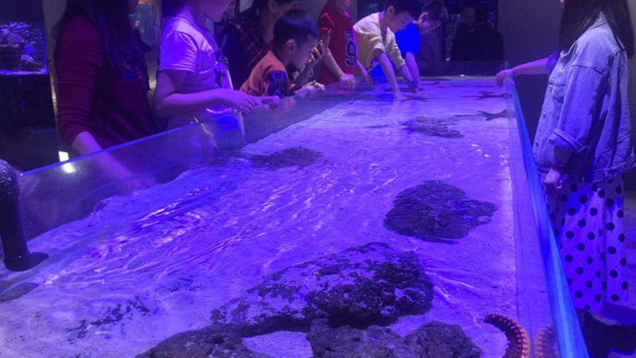 海洋館建設 竣工 營業 廣東汕頭蓮花峰海洋文化館