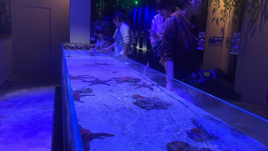 海洋館建設 竣工 營業 廣東汕頭蓮花峰海洋文化館