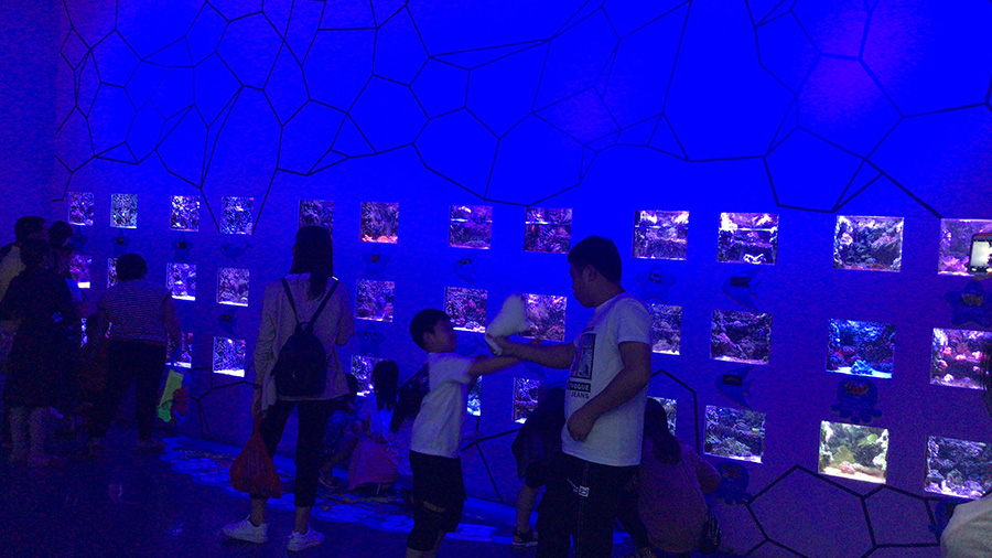 海洋館建設 竣工 營業 廣東汕頭蓮花峰海洋文化館