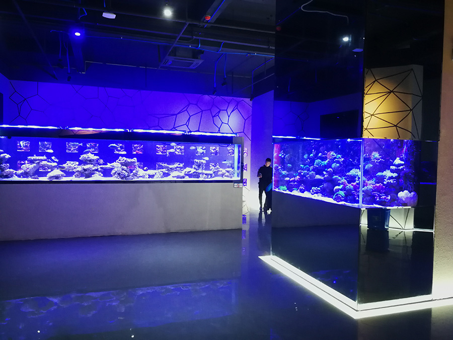 海洋館建設 竣工 營業 廣東汕頭蓮花峰海洋文化館