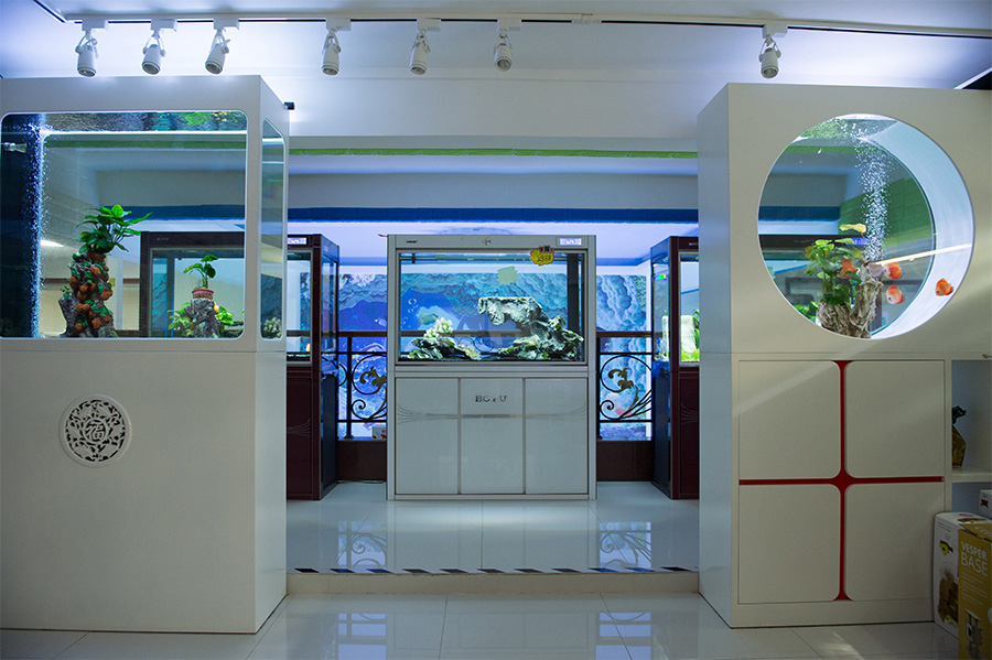 龍威水族——定制異型魚缸