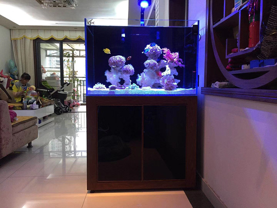 龍威水族_定制超白玻璃魚缸 質量保證,定制超白玻璃魚缸|深圳海缸定制|深圳魚缸定做