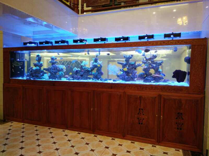 深圳實木魚缸定做生產廠家_龍威水族,實木魚缸定做|深圳魚缸定制
