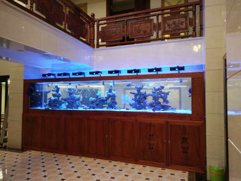 深圳羅湖區大型魚缸批發價格介紹