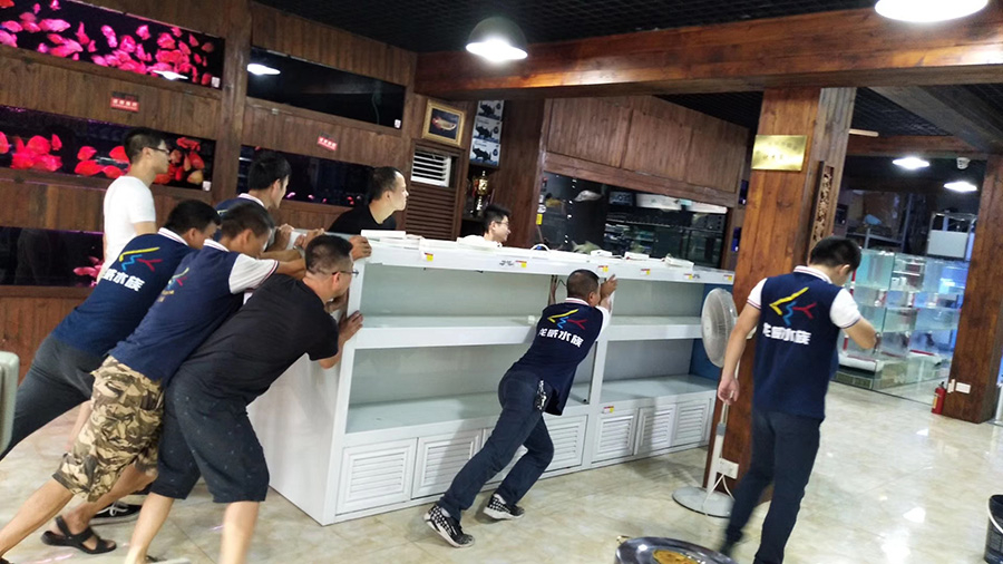 廣東深圳魚缸定做生產廠家_龍威水族,魚缸定做|深圳魚缸定做|定制海水缸